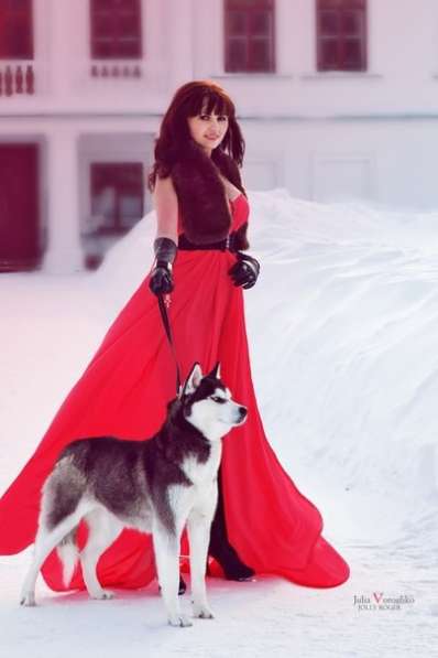 Щеночки хаски потрясающие малыши черно -белые голубоглазые