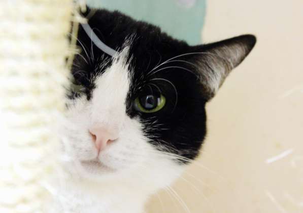 Вдумчивая Луиса мечтает встретить родную душу в Москве фото 3