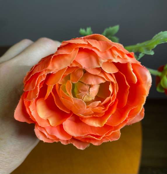 Цветы для интерьера в Коломне фото 5