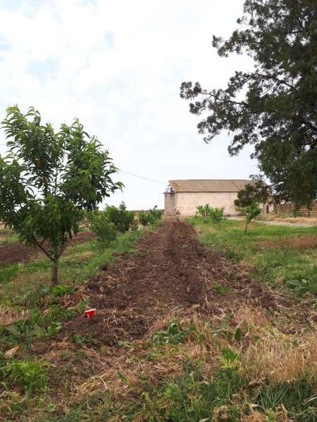 Сдаётся поливная земля в фото 3