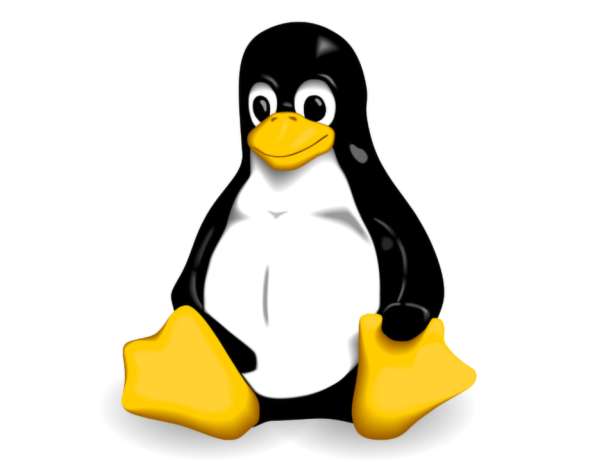 Настройка сервера Linux для работы сайта, перенос сайта