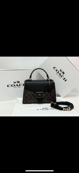Малышка Coach!качественная копия