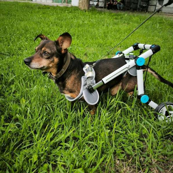 Чудесный мальчик Митя из приюта ищет семью