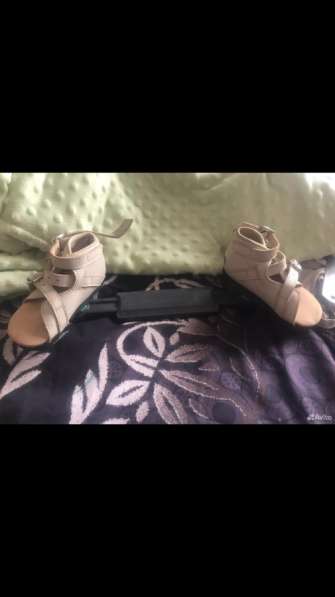 Брейсы Медвежонок