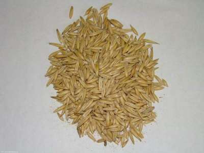 Куплю Паи Зерна Кукуруза Пшеница Ячмень в Липецке фото 4