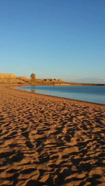 Южный берег Иссык-Куля – незабываемый отдых! в фото 6