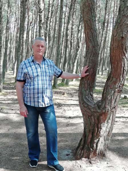 Владимир, 57 лет, хочет познакомиться – Познакомлюсь с девушкой