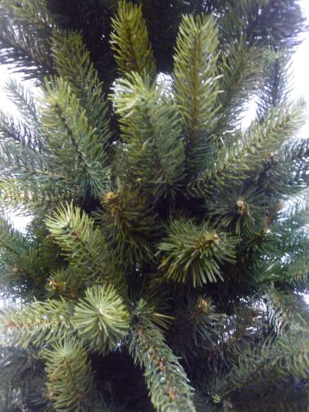 Елочка Производство Беларусь