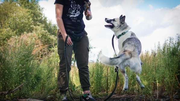 Суперактивная Халва в Москве фото 35