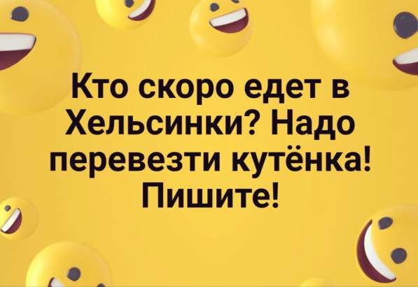 Кто сможет перевезти щенка