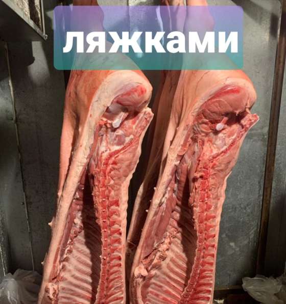 Мясо свинина говядина баранина курятина розница опт в Казани фото 5