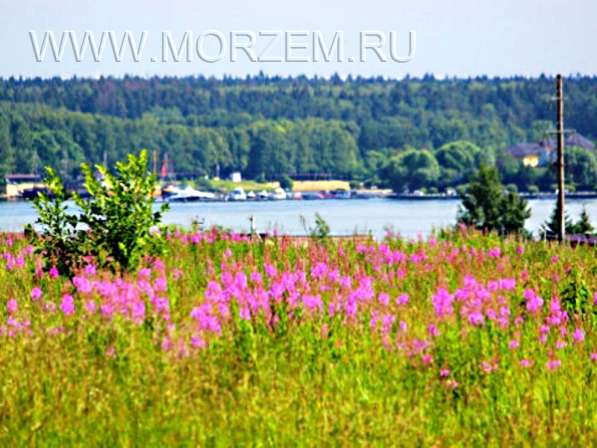 Участки на водохранилище 12 км от Москвы в Москве фото 12