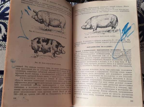 Основы животноводства для учащихся сельской школы. 1957 год в фото 4
