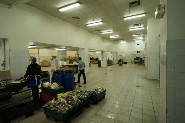 Продажа пищевое производство 9700 кв. Н. Новгород в Нижнем Новгороде фото 7