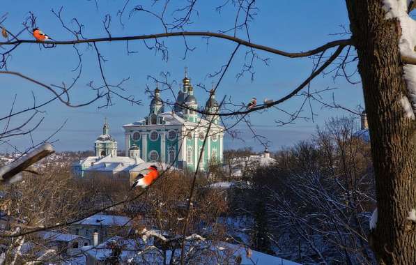 Частные экскурсии по Смоленску и Талашкино на Новый год