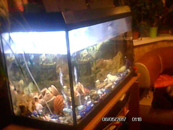 Продам аквариум 200 литров с подставкой в Москве фото 5