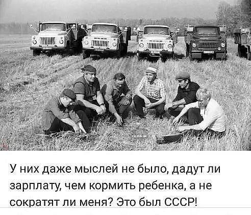 Говядина и баранина по отрубам 320р. кг в Ижевске