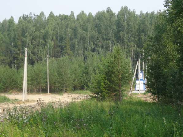 Участок для дачного строительства в Верхней Пышмы