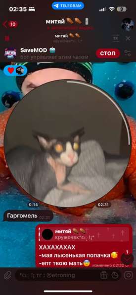 Лысый чорт в Москве фото 3