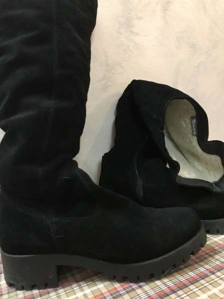 Ботфорты замшевые в Сургуте