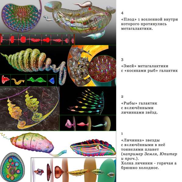 ВЕРОСОФИЯ и ВЕРОЛОГИЯ в Санкт-Петербурге фото 8