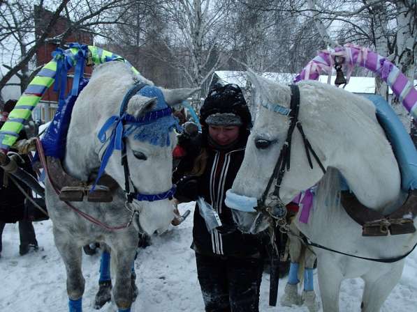 Пони и лошади на заказ в Екатеринбурге фото 7