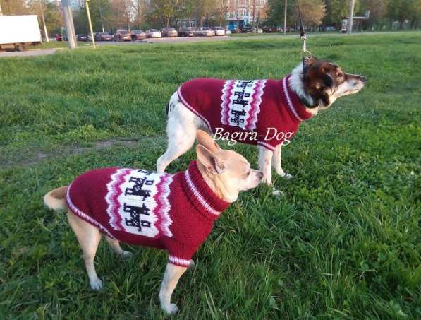 Свитера для собак ручной работы в Москве фото 39