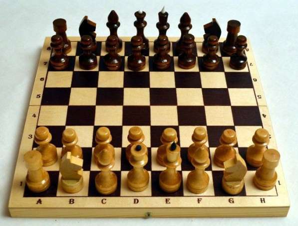 Шахматы лакированные Обиходные 290х145х38 новые с доставкой в Волгограде фото 3