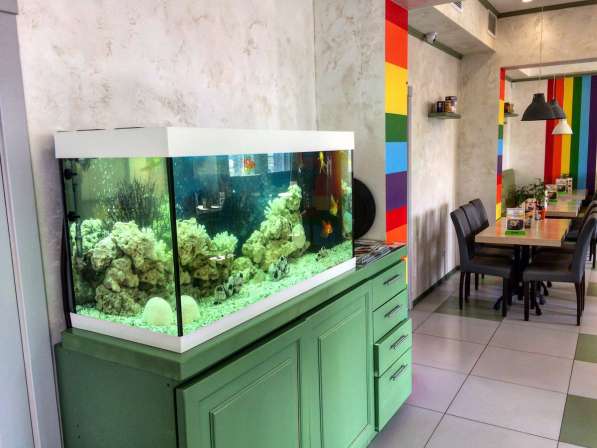 Украшение интерьера аквариумом в Ульяновске фото 5