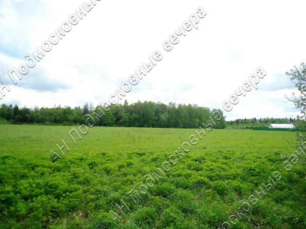 realty_mapper3.plot_in_locationПлощадь 253.00 сот.Есть Электричество, Газ. в Москве фото 47