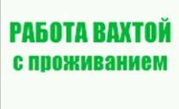 Грузчики