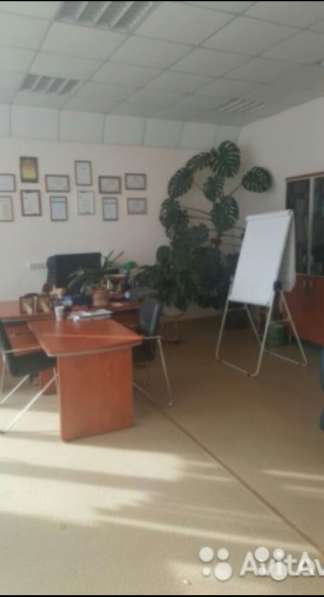 Офисное помешение 164м в Красноярске фото 4