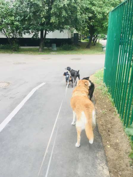 Оформление и декор мероприятий в Москве