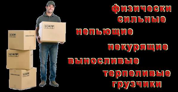 Грузчики. Грузоперевозки – ТК «РазГруз» в Бахчисарае