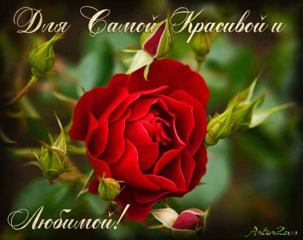 Муж на час в фото 5
