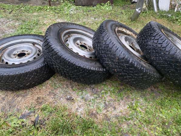 Шипованная зимняя в Брянске фото 3