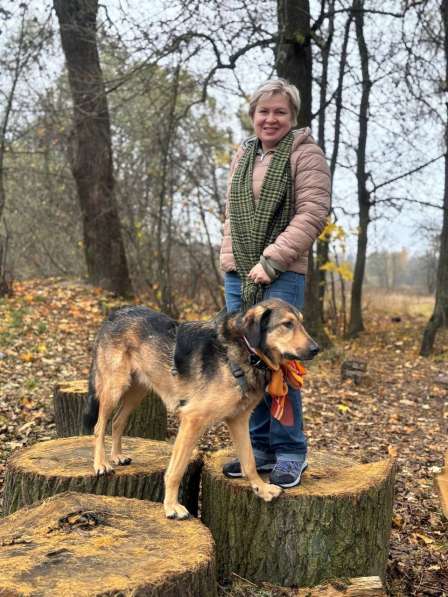 Идеальная пара классных собак в семью в Санкт-Петербурге