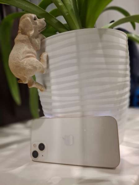 Apple iPhone 13 в Новосибирске фото 6