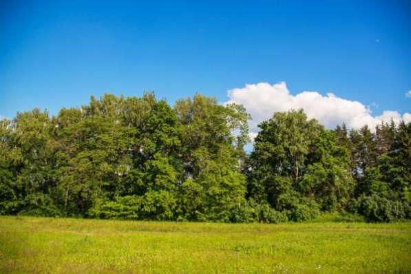 участок 15 в Истре