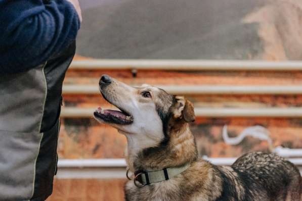 Нежнющий Купер в Москве фото 36