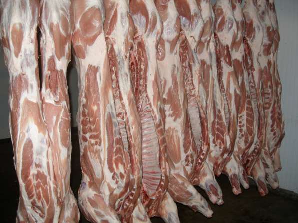 Мясо говядины и свинины оптом в Екатеринбурге фото 3