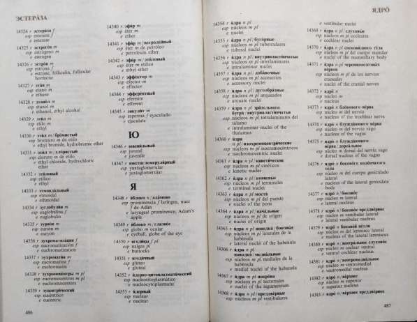 Русско-испанско-английский словарь по морфологии человека в фото 4