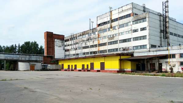 Здание производственного корпуса с участком, город Кингисепп в Кингисеппе фото 4
