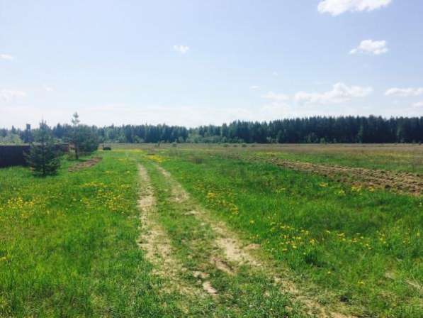 Продается земельного участка 15 соток в деревне Махово, Можайский р-он, 140 км от МКАД по Минскому шоссе в Можайске