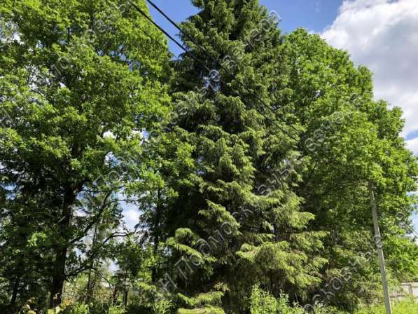 realty_mapper3.plot_in_locationИндивидуальное жилищное ст-во. Есть Газ, Водопровод. в Москве фото 6