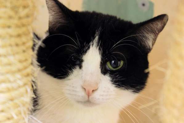 Вдумчивая Луиса мечтает встретить родную душу в Москве