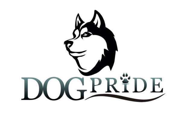 Кинологический тренинговый центр DogPride в Хабаровске