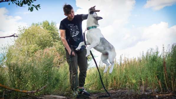 Суперактивная Халва в Москве фото 37