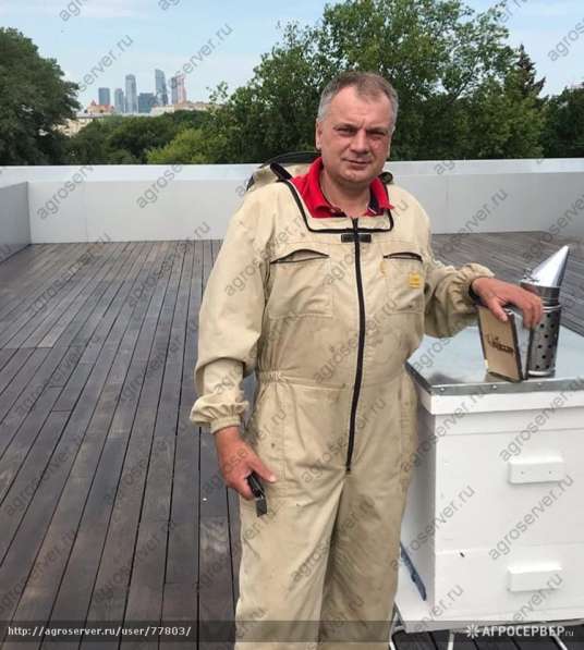 Услуга по обслуживанию и сопровождению пасек в Москве