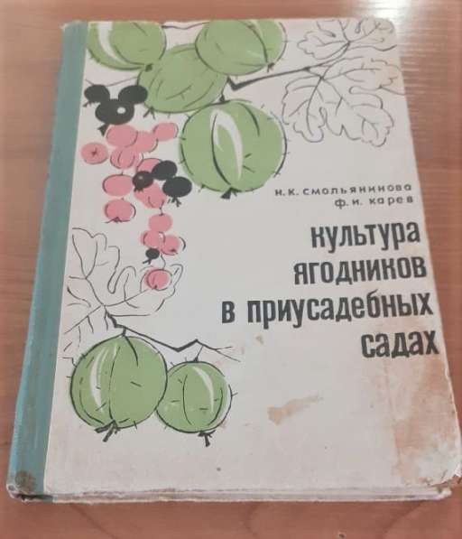 Культура ягодников в приусадебных садах Смольянинова 1966г